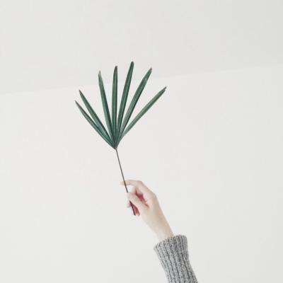 ayx体育在线登录